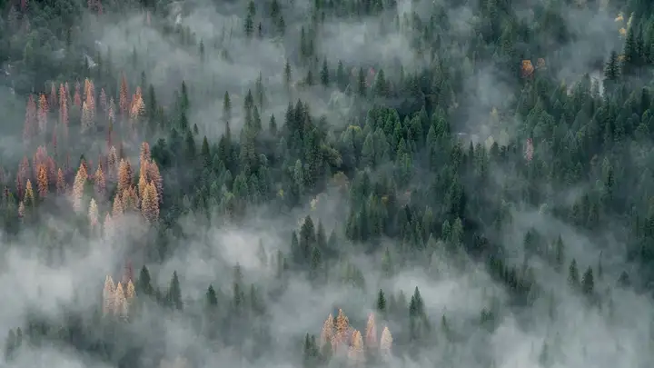 雪に覆われた冬の風景
